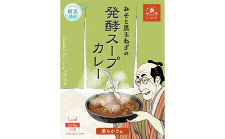 レトルト発酵スープカレー食べ比べセット【極み】 APG0001