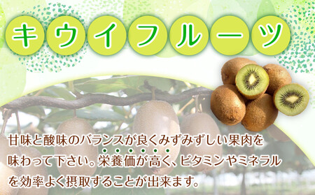 森本農園の キウイフルーツ 約3kg 和歌山県産 サイズ混合 ［北海道・沖縄・離島配送不可］［2026年2月上旬から順次発送予定］［RN126］