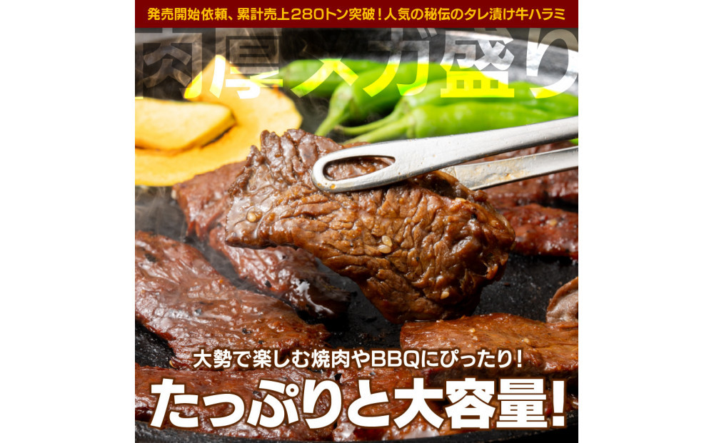 秘伝のタレ漬け牛ハラミ 1kg（500g×2パック）【配送不可：離島】