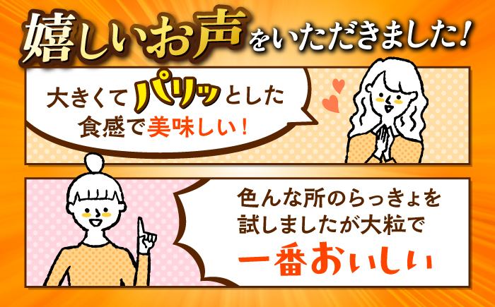 【びっくり大粒】昆布仕込み！さいかいらっきょ艶づけ（甘酢漬け）1.8kg（600g×3P）＜道の駅さいかい みかんドーム＞ [CAI020]
