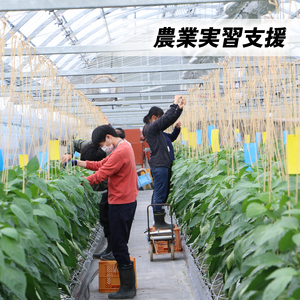 【返礼品なし/10,000円】高知大学 農林海洋科学部 支援事業(教育・研究・地域貢献を支える寄附) 高知県 南国市 