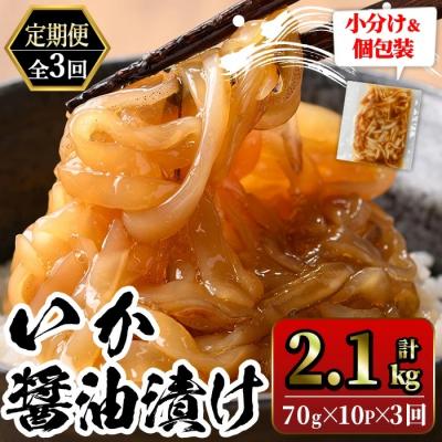 ふるさと納税 境港市 &lt;定期便3ヶ月&gt;いか醤油漬けセット