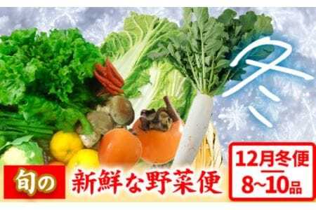 ＜先行予約＞ 旬の新鮮な野菜便 12月冬便 8～10品 野菜