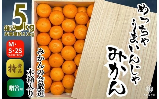 
                  みかん めっちゃうまいんじゃ 木箱入 約5kg（内容量4.3kg） みかんの会厳選 特選品 M S 2S サイズのいずれか 和歌山県産 産地直送 S品 贈答用 ［2025年11月中旬より順次出荷予定］［みかんの会］
                