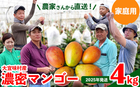 マンゴー【2026年発送】ご家庭用！濃密マンゴー《家庭用・約4kg》
