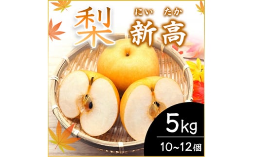 ＜2025年10月上旬より順次発送予定＞新高　5kg　10～12個(県内共通返礼品:石岡市産) (BR017)