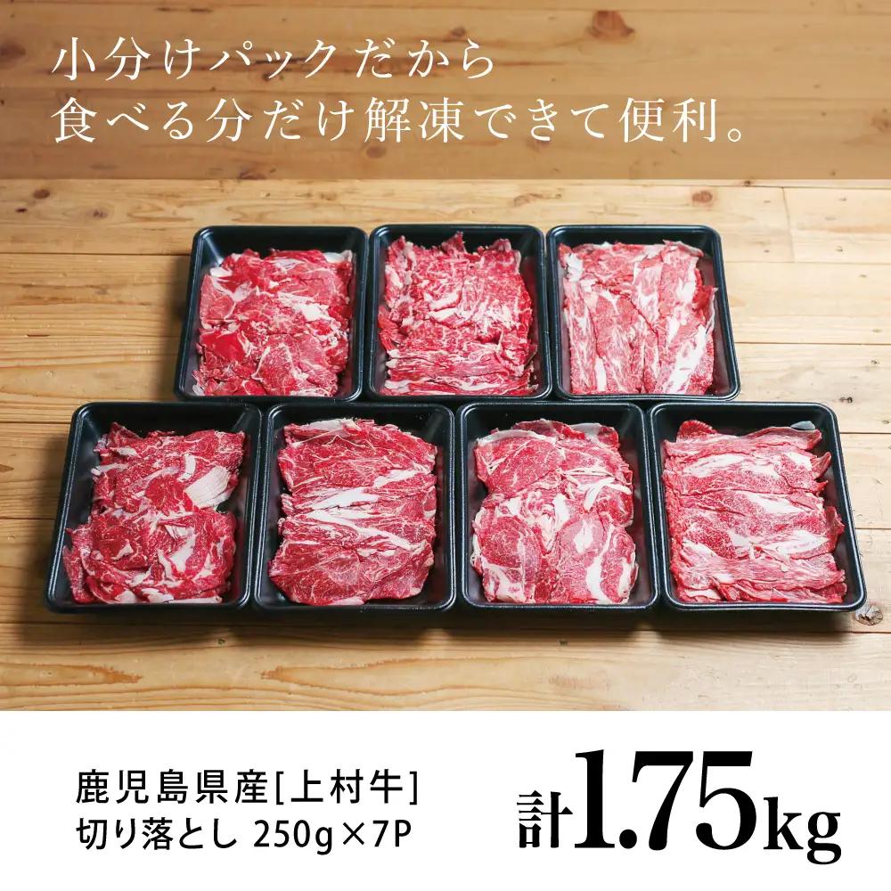 【カミチクブランド】鹿児島県産 上村牛切り落とし 1.75kg（250g×7P） 切落とし 牛丼 肉じゃが お肉 小分け 冷凍 カミチク