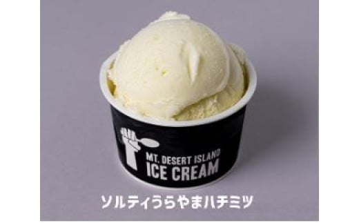 ソルティうらやまハチミツ　
　画像はイメージです