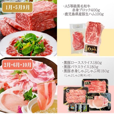 定期便4回配送　肉の定期便 EE−6016【配送不可地域：離島】【1491491】
