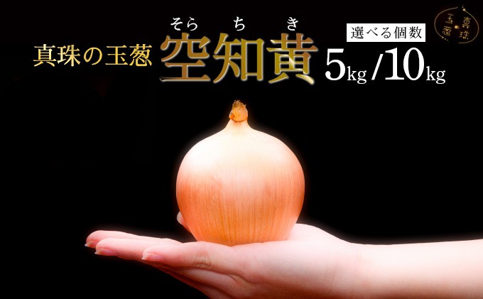 
            ＜選べる内容量＞真珠の玉葱 空知黄 5kg/10kg ≪海のミネラルで育てた幻の玉葱空知黄≫【50105】
          