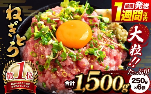 ネギトロ 1500g（250g×6袋） 天然まぐろ 250g パック 定期便 小分け ねぎとろ まぐろたたき まぐろのたたき マグロたたき ネギとろ ねぎトロ スピード発送 手詰め | 清幸丸水産 マグロ 鮪 ネギトロ丼 海鮮丼 手巻き寿司 ユッケ 冷凍 千葉県 君津市 きみつ