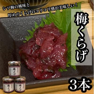 ふるさと納税 小田原市 梅くらげ 3本【小田原で作る梅の珍味、日本酒、焼酎、お酒のあてに。】【神奈川県小田原市早川】