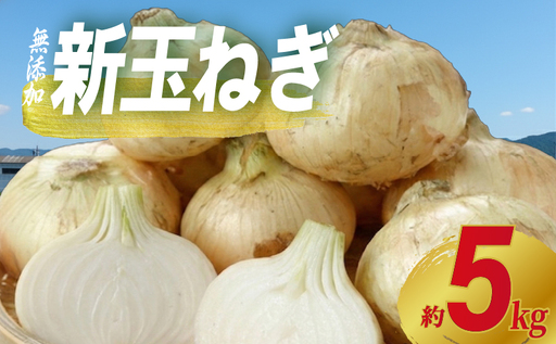 先行予約 新玉ねぎ 約5kg