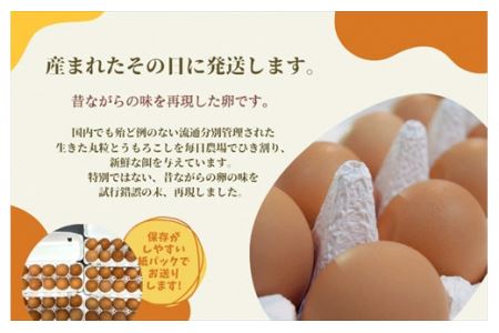 【１２ヶ月定期便】丹波奥郷の卵 やまぶき ４５個+５個破卵補償 (約3L）　たまご