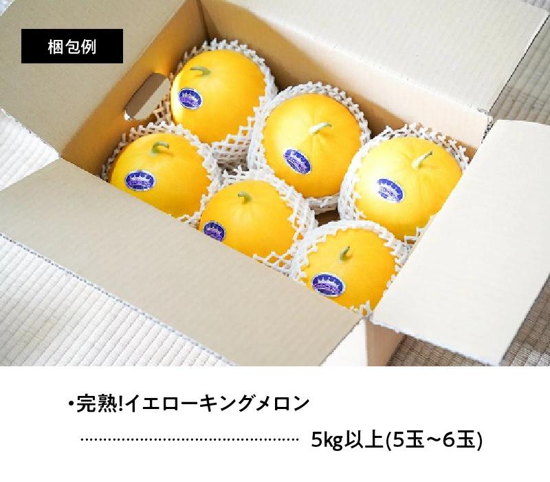 【2026年発送】完熟！イエローキングメロン 5kg以上(5玉～6玉)　H141-017