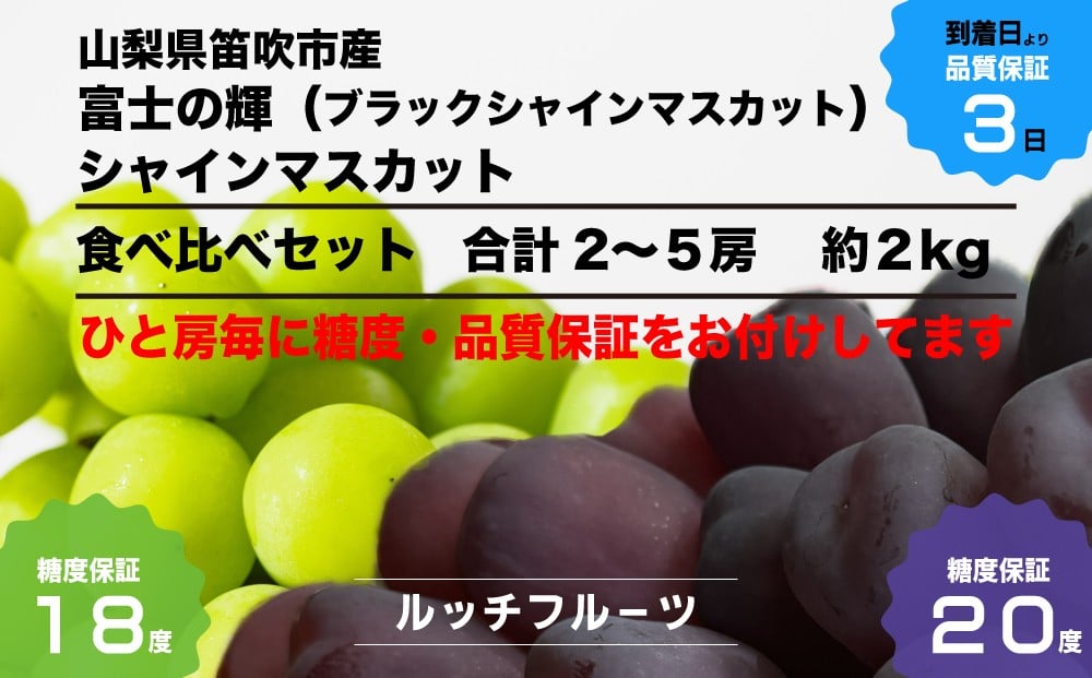 
            2026年発送【全房糖度保証付】ブラックシャインマスカット「富士の輝」食べ比べセット 合計約2kg 2～5房/日テレ「ZIP!」TBS「ひるおび」にて紹介！美味しいフルーツだけをお届け【ルッチ Rucci】産地直送 山梨県 笛吹市 果物 葡萄 ぶどう 黒ブドウ 黒系 黒いシャインマスカット 贈答 人気 ギフト 104-020
          