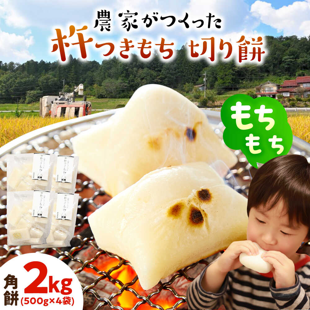 【ふるさと納税】農家がつくった杵つきもち 切り餅 角餅 2kg （小分包装 / 500g×4袋） きねふりもち使用 瑞浪市 / 農事組合法人日吉機械営農組合 白餅 お餅 岐阜県産 国産 期間限定[AZBW004]