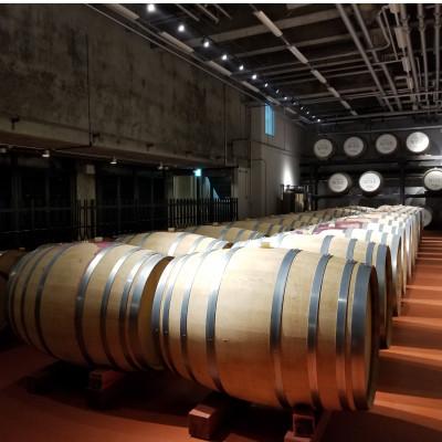 ふるさと納税 池田町 [厳選赤ワイン] 十勝ワイン本格バラエティ6本セット |  | 01