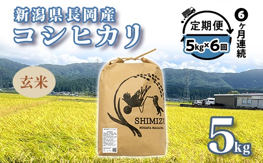 
                  N5-G056【6ヶ月連続お届け】新潟県長岡産コシヒカリ玄米5kg
                