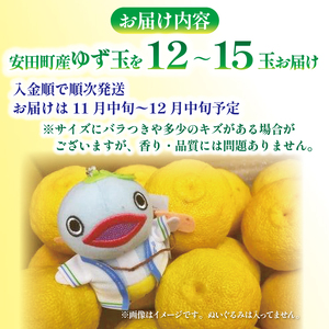 安田町産 ゆず玉～料理にお酒にお風呂にどうぞ～ 期間限定 ゆず 12～15玉 柚子 果物 柑橘 フルーツ スイーツ デザート アレンジ 柚子風呂 ゆず風呂 柚子湯 早期予約 季節限定 ふるさと納税 人