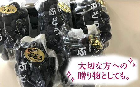 【先行予約】赤ぶどう 2kg ( ピオーネ or クインニーナ ) 【2025年9月中旬以降順次発送】《豊前市》【山田農場 フルーツランド】ブドウ 葡萄 ぶどう [VCY006]