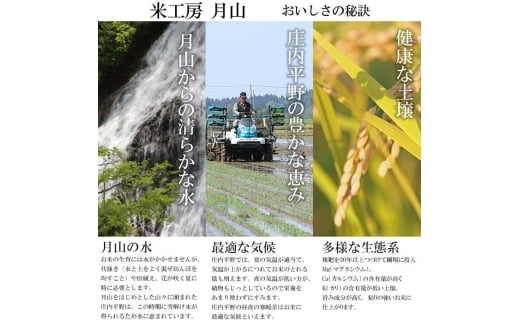 【令和7年産】特別栽培米 つや姫 乾式無洗米 10kg（5kg×2袋）山形県鶴岡市産　米工房 月山【令和8年3月16日～3月22日発送】