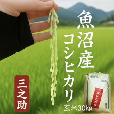ふるさと納税 魚沼市 【令和8年産】 三之助 特別栽培米 魚沼産コシヒカリ [玄米] 30kg