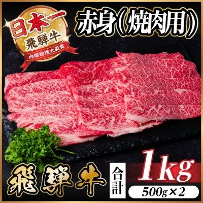 
                  飛騨牛 厳選赤身(焼肉・BBQ用) 1kg(500g×2) 　黒毛和牛 小分け A4～A5等級【1543758】
                