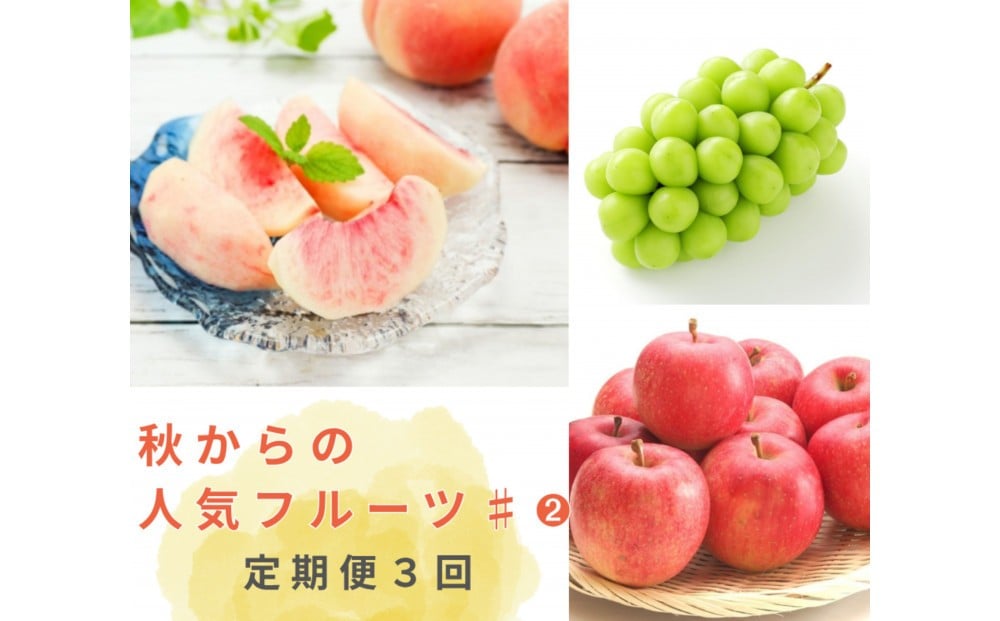 
            2026年度発送【定期便 ３回 】秋からの人気フルーツ #２
          