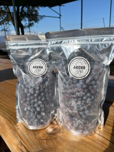 【超大粒】山梨県産（明野産）冷凍　ブルーベリー1,000g　ブルーベリー1,000g ブルーベリー 超大粒 1,000g 無農薬 期間限定 数量限定 フルーツ くだもの 生果 生果実 新鮮 冷凍 ジュ