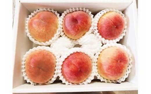 紀州和歌山産の桃　約1.8kg　化粧箱入　※2026年6月下旬頃〜2026年8月上旬頃順次発送（お届け日指定不可）【uot720-2】