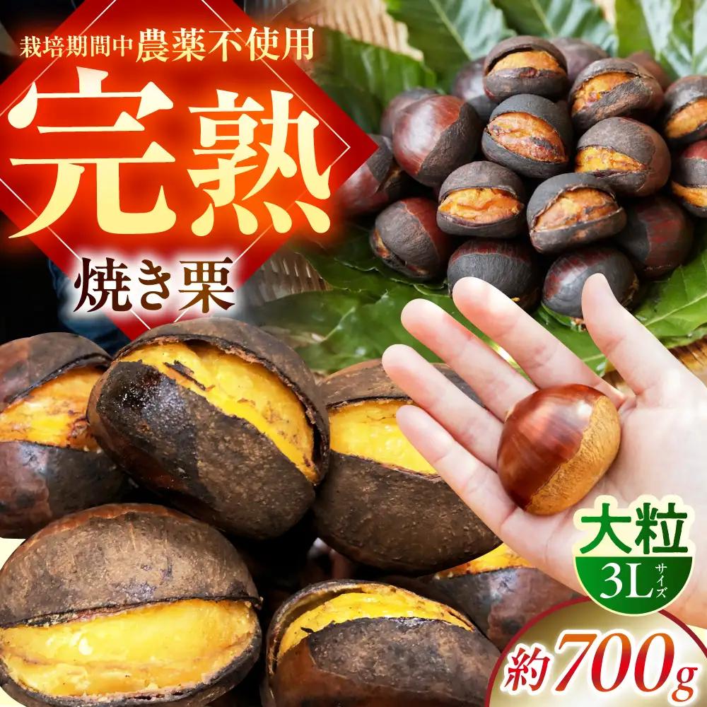 完熟石畳栗 焼き栗 BKAQ001