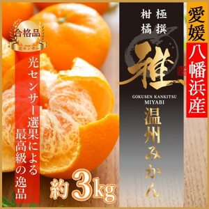 極撰柑橘“雅”光センサー合格品「八幡浜温州みかん」約3キロ 【C39-53】_美味しいみかん 美味しいミカン おいしいみかん おいしいミカン 人気のみかん 人気のミカン 国産みかん 国産ミカン 八幡浜みかん 八幡浜ミカン 甘いみかん 甘いミカン あまいみかん アマイミカン 果物みかん くだものみかん 果物ミカン クダモノミカン 美味しい温州 美味しいウンシュウ おいしい温州 おいしいウンシュウ 人気の温州 人気のウンシュウ 国産温州 国産ウンシュウ 八幡浜温州 八幡浜ウンシュウ 甘い温州 甘いウンシュウ あ