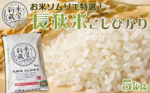 《令和７年産 新米》【米屋新蔵】お米ソムリエ特選『長狭米コシヒカリ』５kg　[0016-0028]