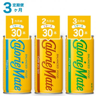 ふるさと納税 徳島市 【定期便 全3回】カロリーメイトリキッド各種 計90本【CA140】