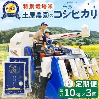 ふるさと納税 佐渡市 【毎月定期便】佐渡島産コシヒカリ 白米10kg 土屋農園 農家直送 特別栽培米 　全3回