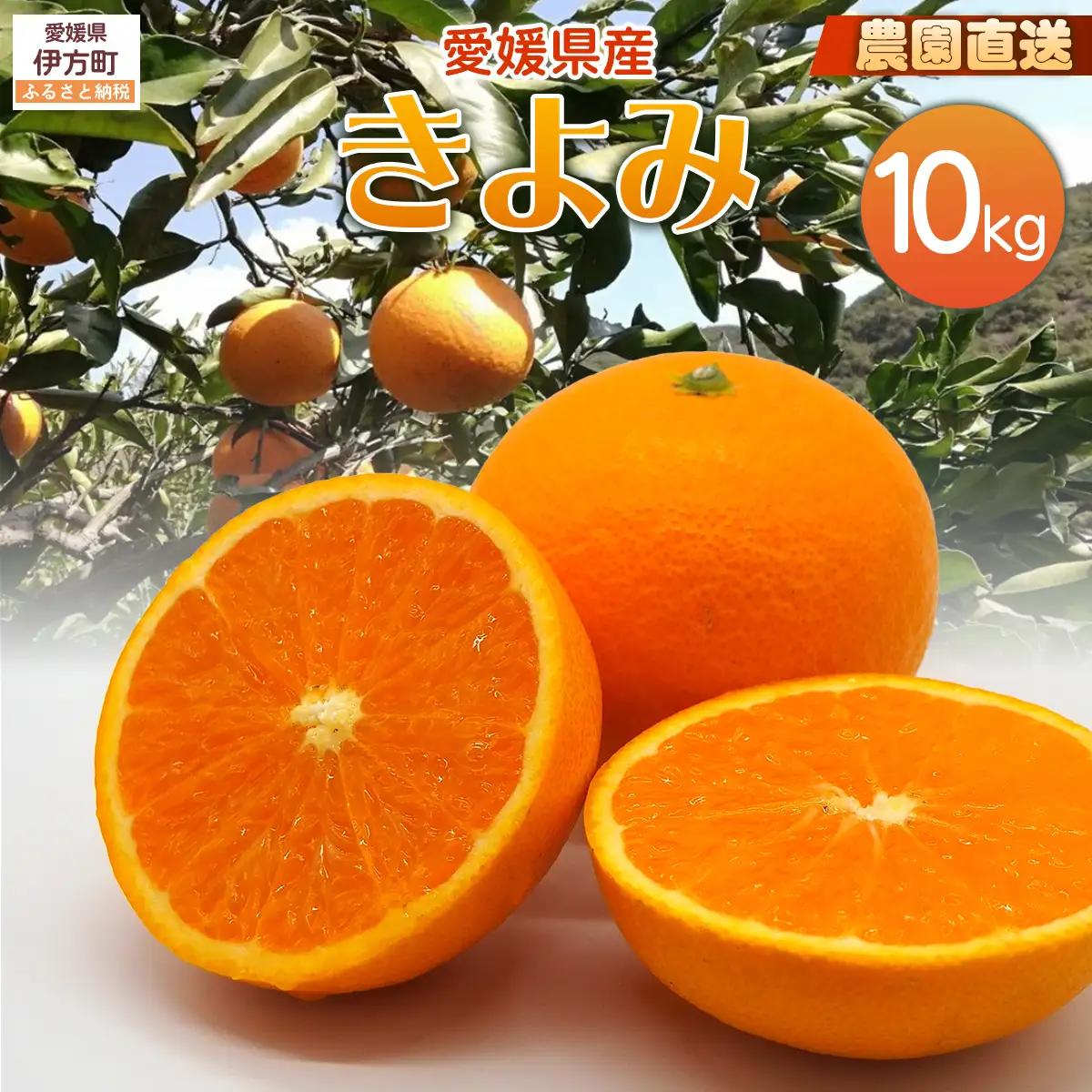 【栽培期間中農薬不使用】【先行受付】【数量限定】農園直送！愛媛県産 きよみ 10kg （2027年3月上旬頃より順次発送） IKTG022