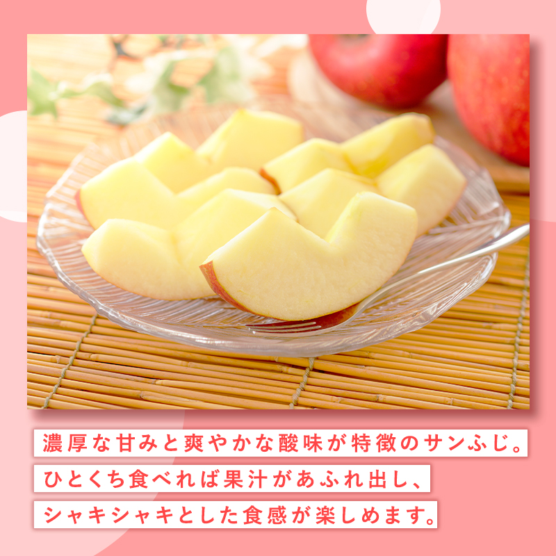 1月  サンふじりんご「特A」約5kg 糖度13度以上(14～20玉程度） 【森山商店・平川市・青森りんご・1月】