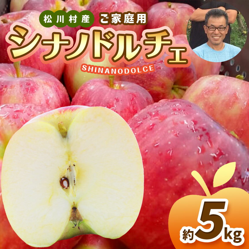 【ふるさと納税】 *【2025年先行予約】 北條農園 家庭用 シナノドルチェ 約5kg ｜ リンゴ りんご 林檎 果物 フルーツ 果実 果汁 シナノドルチェ しなのドルチェ 家庭用 わけあり 訳アリ 長野県 松川村 信州