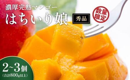 【数量限定/先行予約】マンゴー「はちいり（鉢入り）娘」化粧箱入り