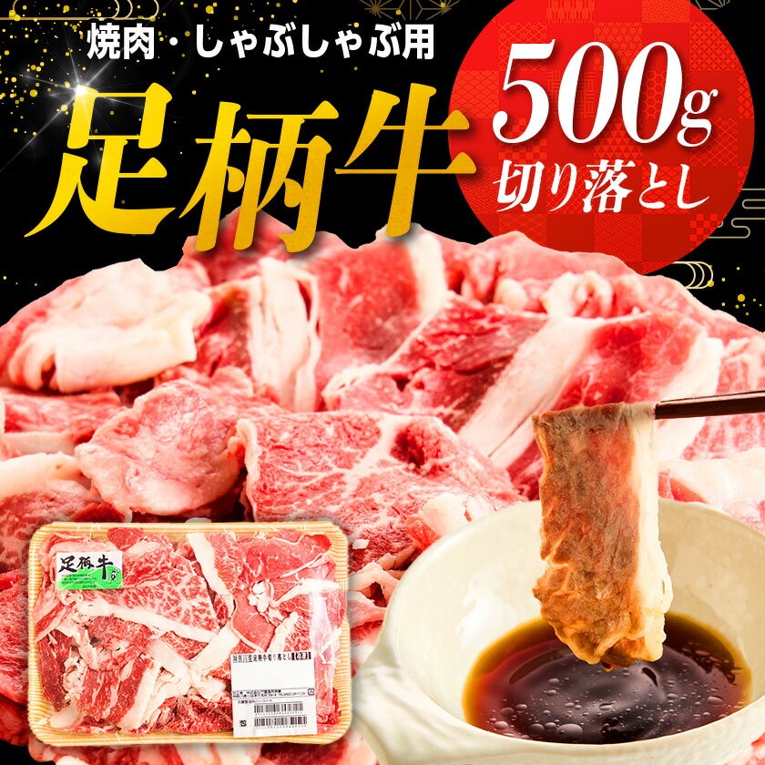 【ふるさと納税】足柄牛【焼肉・しゃぶしゃぶ用】切り落とし500g【配送不可地域：離島】【1507076】