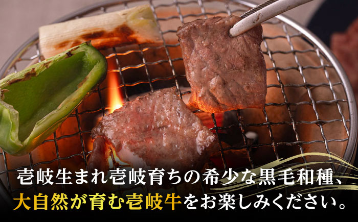 【高島屋選定品】〈壱岐市農業協同組合〉壱岐牛 モモ 焼肉用 500g《壱岐市》 牛肉 焼肉 [JFJ031] 23000 23000円 