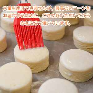 TIB-004 スコーン 6種 12個入 セット
