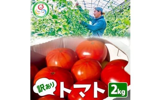 訳あり トマト 約2kg | 規格外 不揃い とまと 野菜 旬野菜 サラダ 新鮮 農家直送 季節 限定 期間限定 しおやブランド※2025年3月上旬～5月中旬頃に順次発送予定