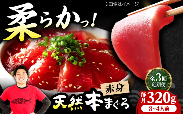 
            【全3回定期便】極上！たね熟天然本まぐろ赤身(320g) 天然 マグロ 鮪 赤身 刺身 魚 魚介 魚介類 海鮮丼 本マグロ 本まぐろ 本鮪 赤身 大トロ 冷凍 お刺身 お寿司 大阪府高槻市/本まぐろ直売所 [AOCE013]
          