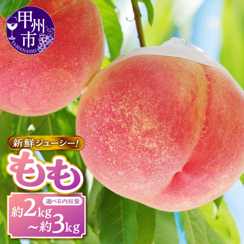 【ふるさと納税】 桃 約2kg 5～8玉 約3kg 7～12玉 選べる内容量 果物 もも フルーツ 白鳳系 白桃系 くだもの 甲州市 新鮮 産地直送 山梨 人気 おすすめ 厳選 盛り合わせ 2025年発送 期間限定 数量限定 6月 7月 8月 ギフト 贈答 家庭用 （MKN）
