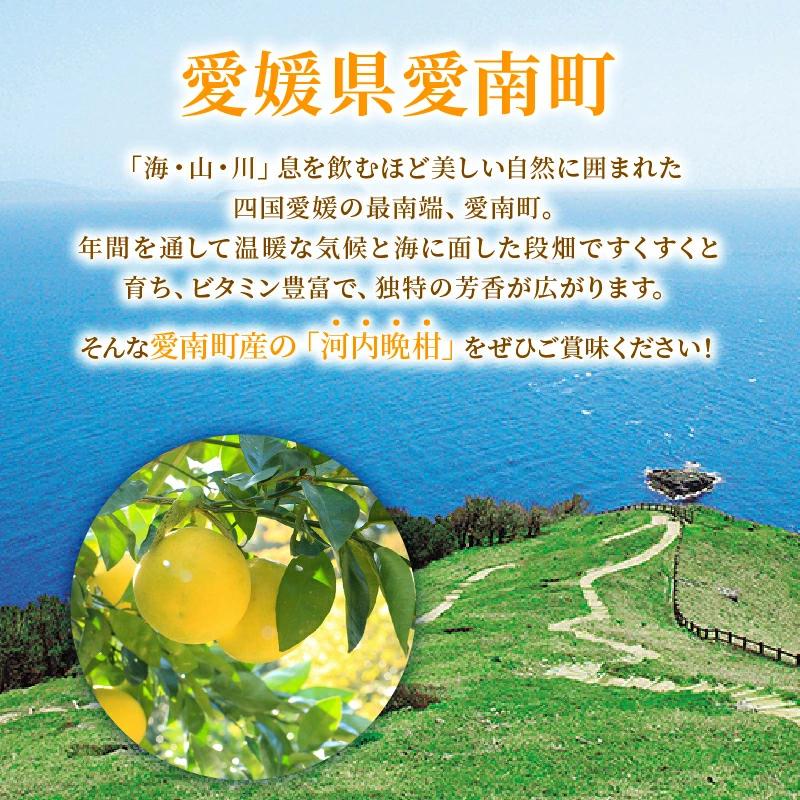訳あり 河内晩柑 2L サイズ 以上 6玉  (約 3.5kg) サイズミックス 5000円 みかん かわちばんかん ミカン mikan わけあり 愛南ゴールド 家庭用 あいなん ゴールド 美生柑 文