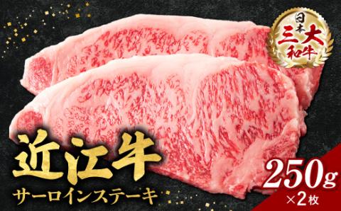 近江牛サーロインステーキ250ｇ×2枚（箱なしエコ包装）　E-E05　いろは精肉店