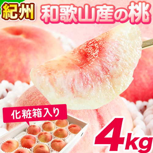 紀州和歌山産の桃　約4kg 10～15玉　化粧箱入 魚鶴商店《2026年6月下旬-8月上旬より発送予定》  和歌山県 日高町 モモ もも