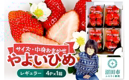 中身おまかせ「やよいひめ」レギュラーパック 250g 4パック×1箱